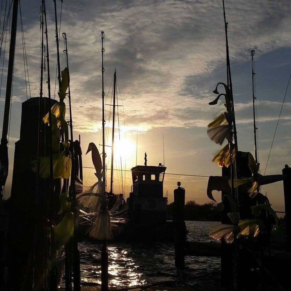 Meet your Posher, Mandy